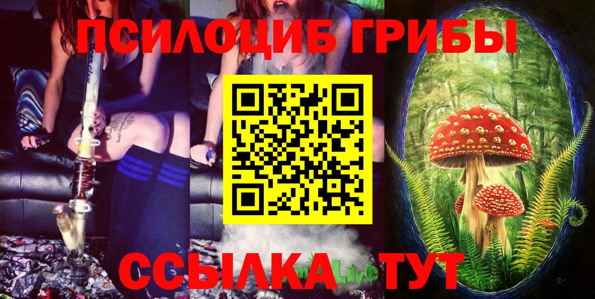 Псилоцибиновые грибы мицелий Ртищево